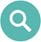 icon search